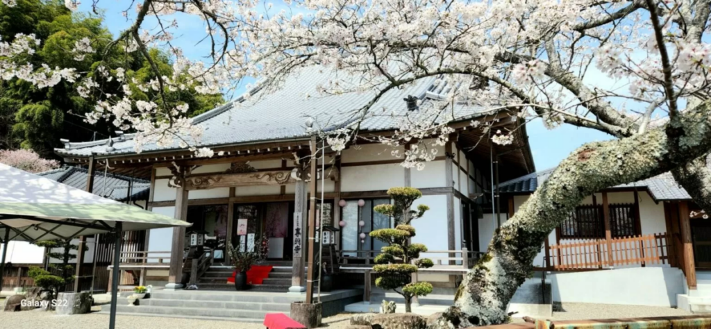 「九婚」からのお知らせ【申込締切まであと5日！】